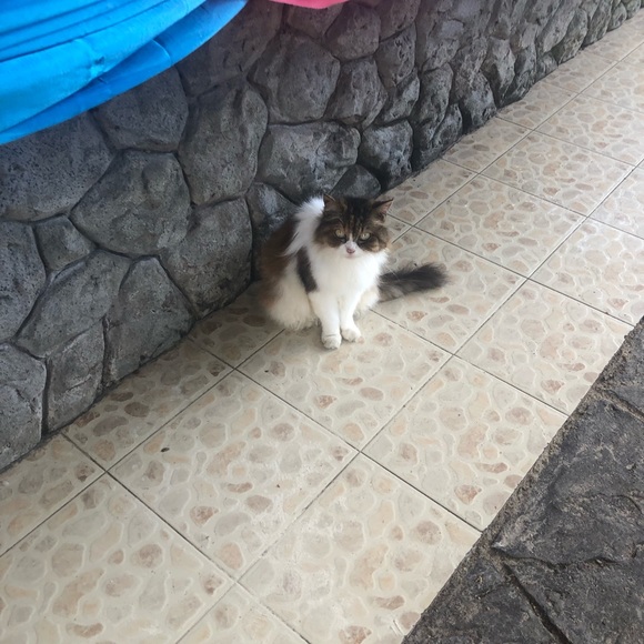 Meet your Posher, Kate - Picture 1 of 1